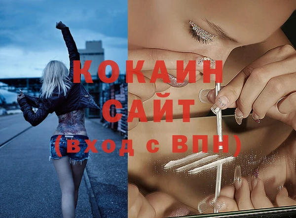 apvp Каменногорск