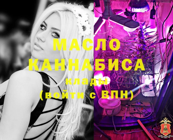 спиды Инсар