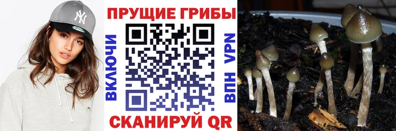 Галлюциногенные грибы MAGIC MUSHROOMS  МЕГА как зайти  Дудинка  где купить наркотик 